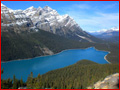 peyto-lake.jpg